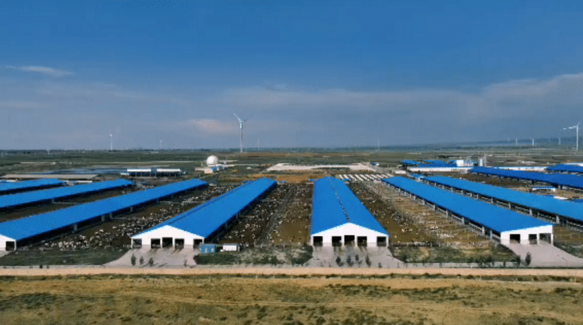 利来·国际[中国]最老牌-中国官网